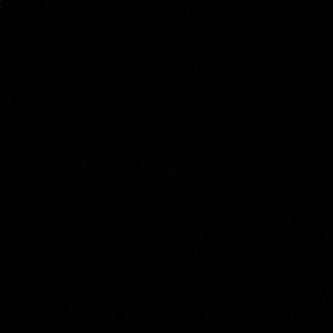 Meet your Posher, Charlie